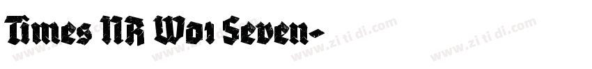 Times NR W01 Seven字体转换